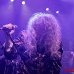 Ronnie James Dio: The Memorial ConcertDutch All Star Band